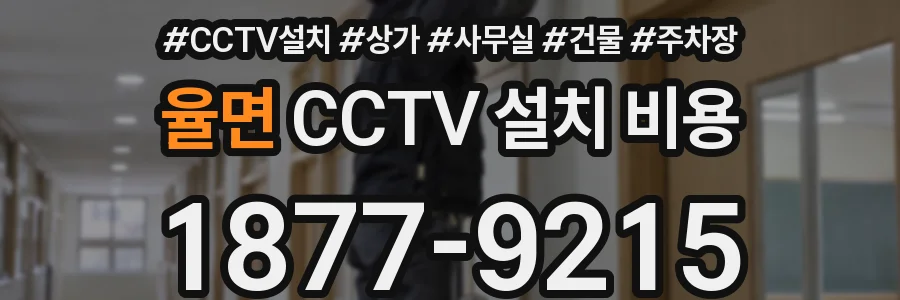 율면 CCTV 설치 비용