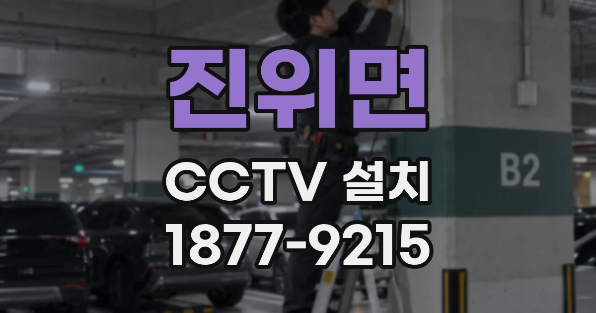 진위면 CCTV 설치