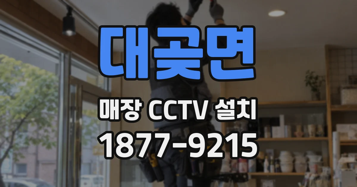 대곶면 매장 CCTV 설치