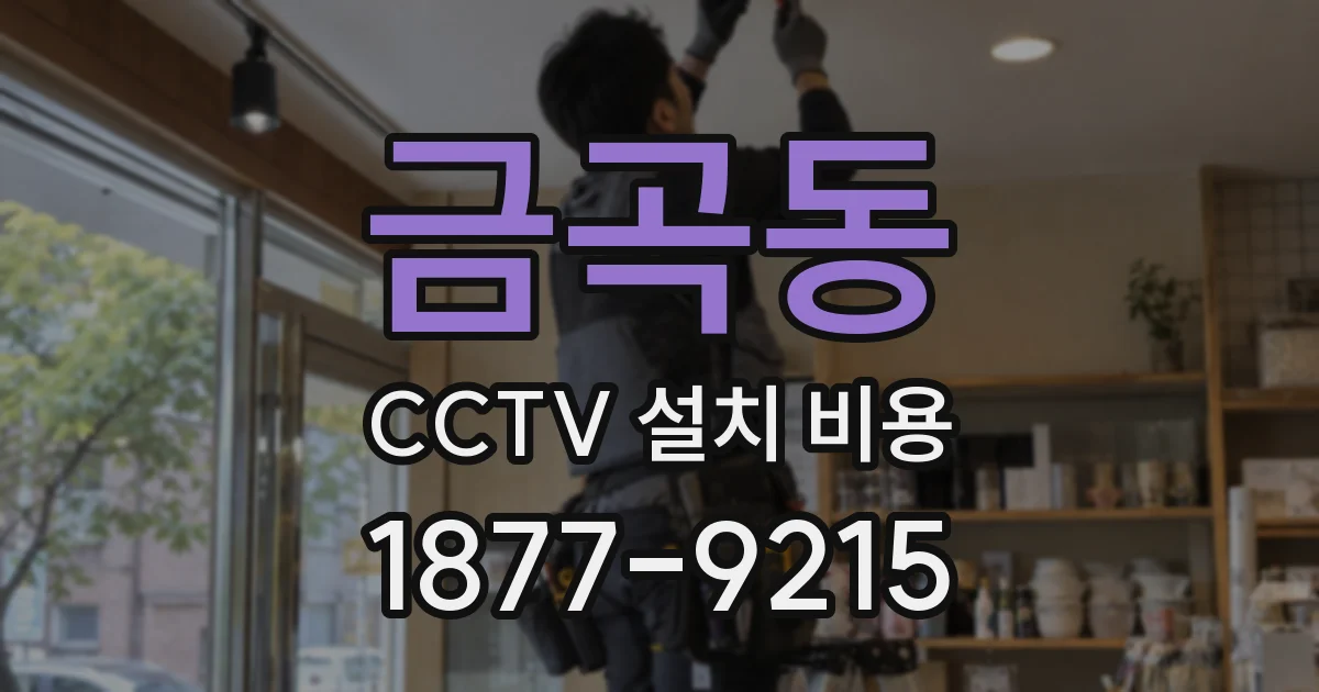 금곡동 CCTV 설치 비용