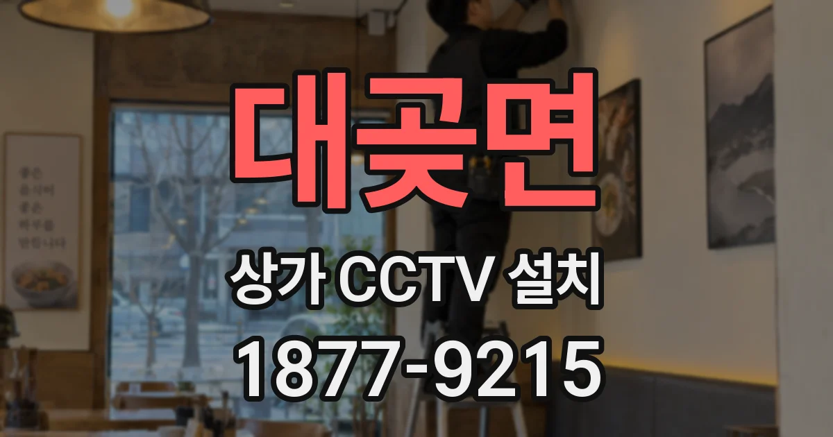 대곶면 상가 CCTV 설치