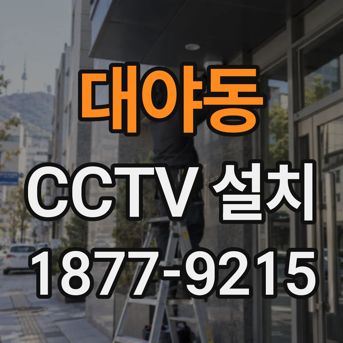 대야동 CCTV 설치