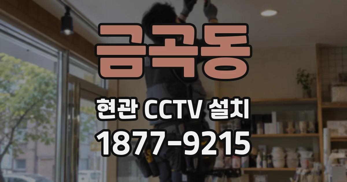 금곡동 현관 CCTV 설치