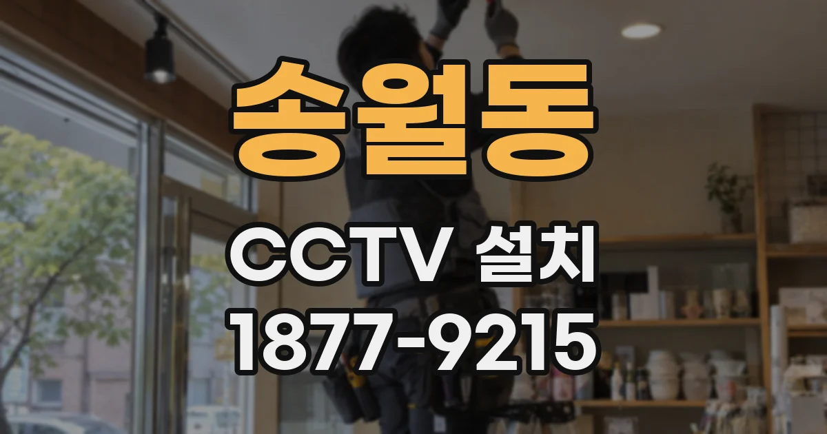 송월동 CCTV 설치