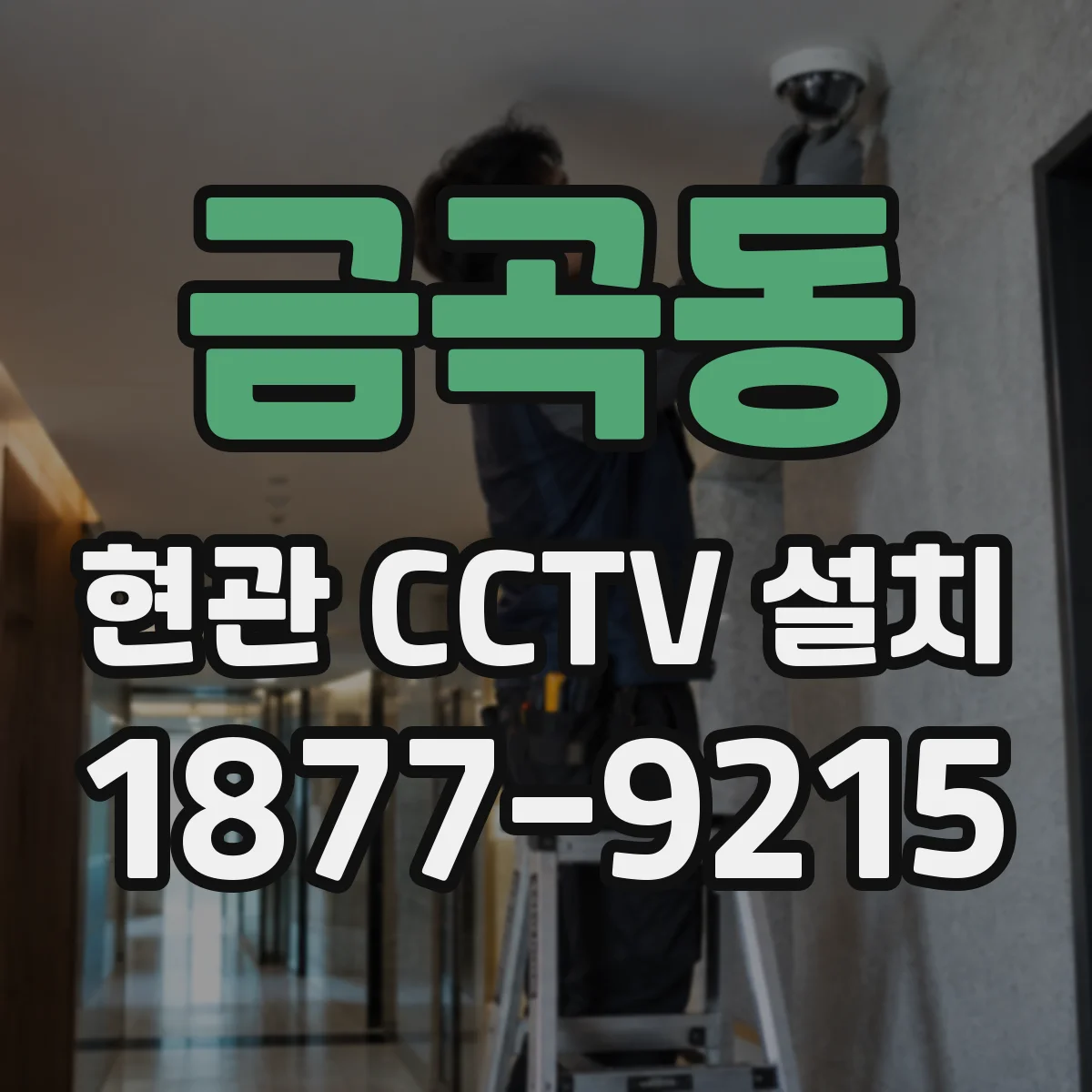 금곡동 현관 CCTV 설치