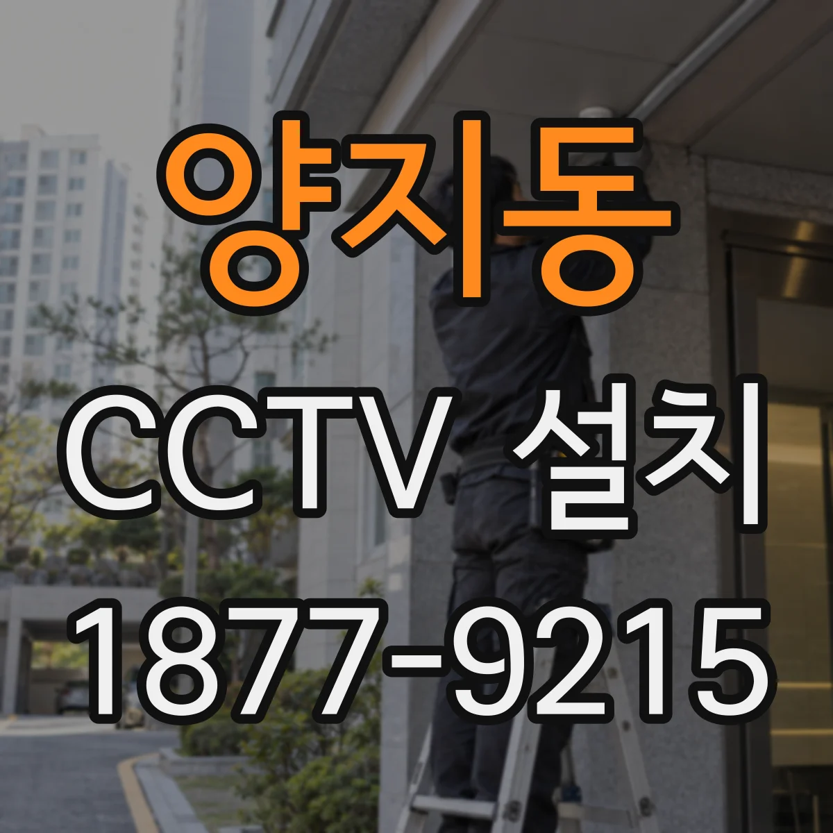 양지동 CCTV 설치