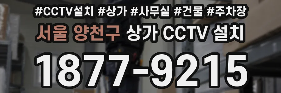 서울 양천구 상가 CCTV 설치