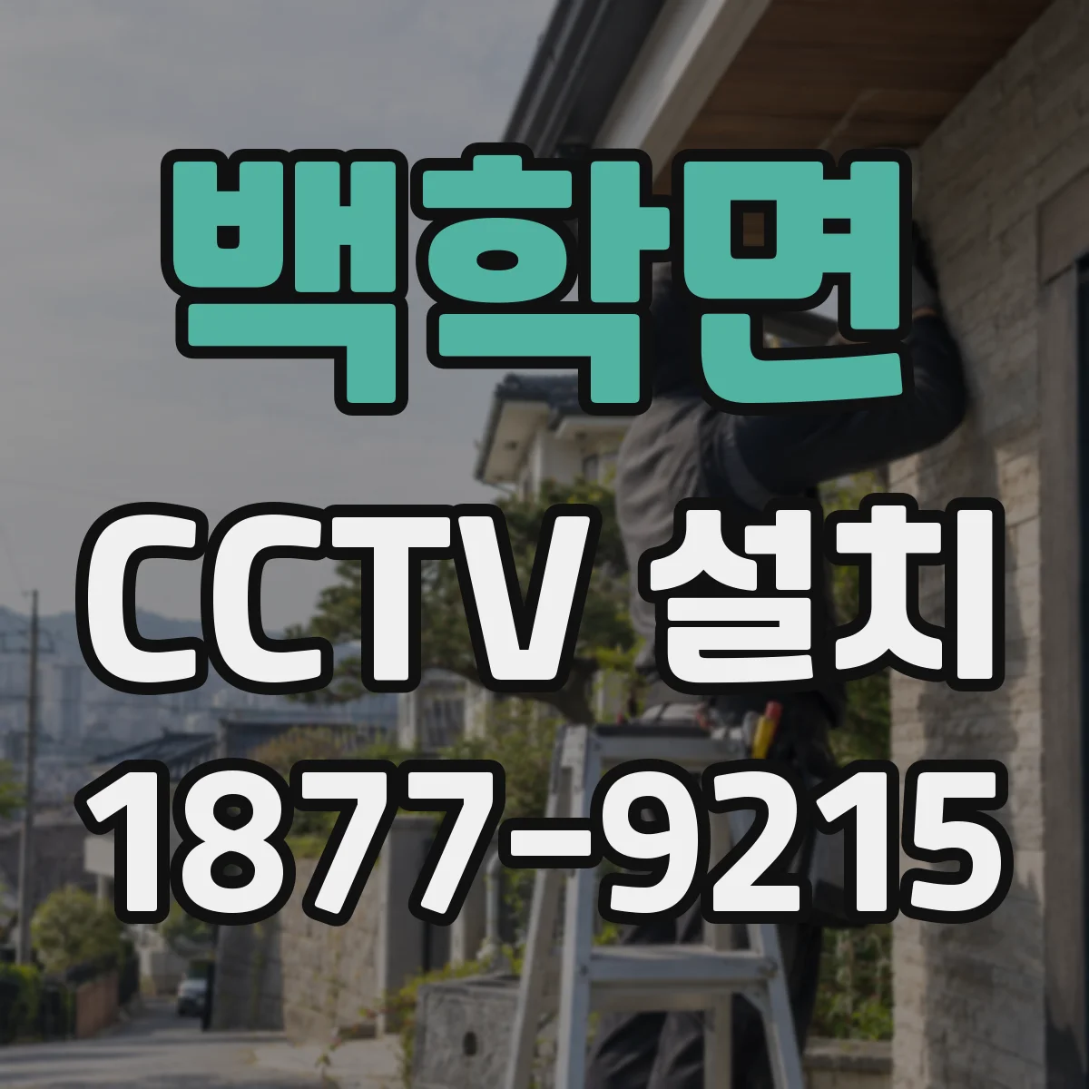 백학면 CCTV 설치