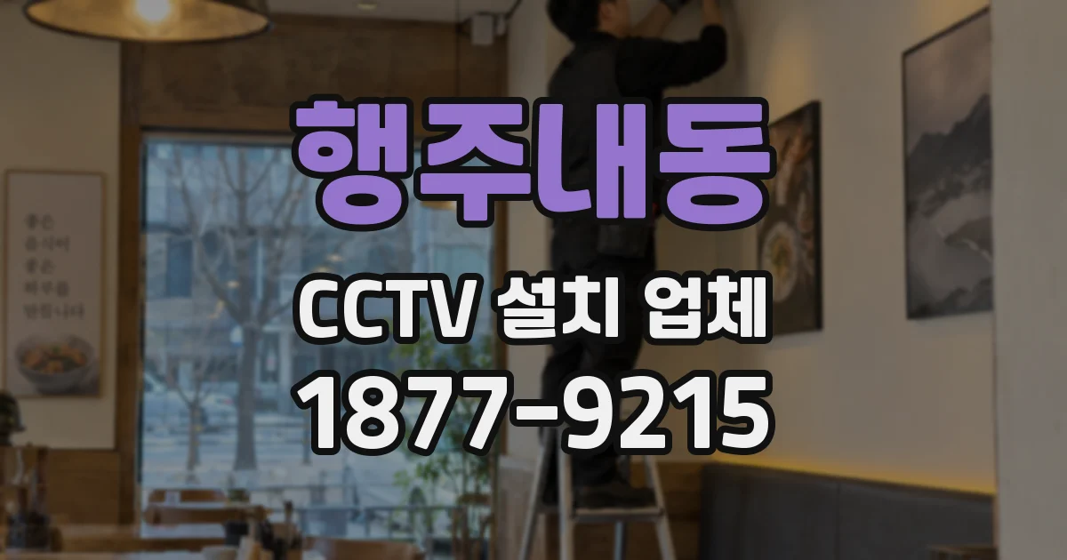 행주내동 CCTV 설치 업체