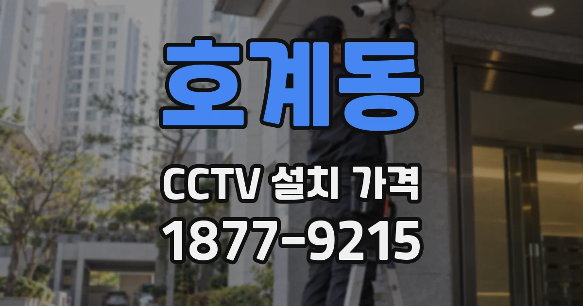 호계동 CCTV 설치 가격