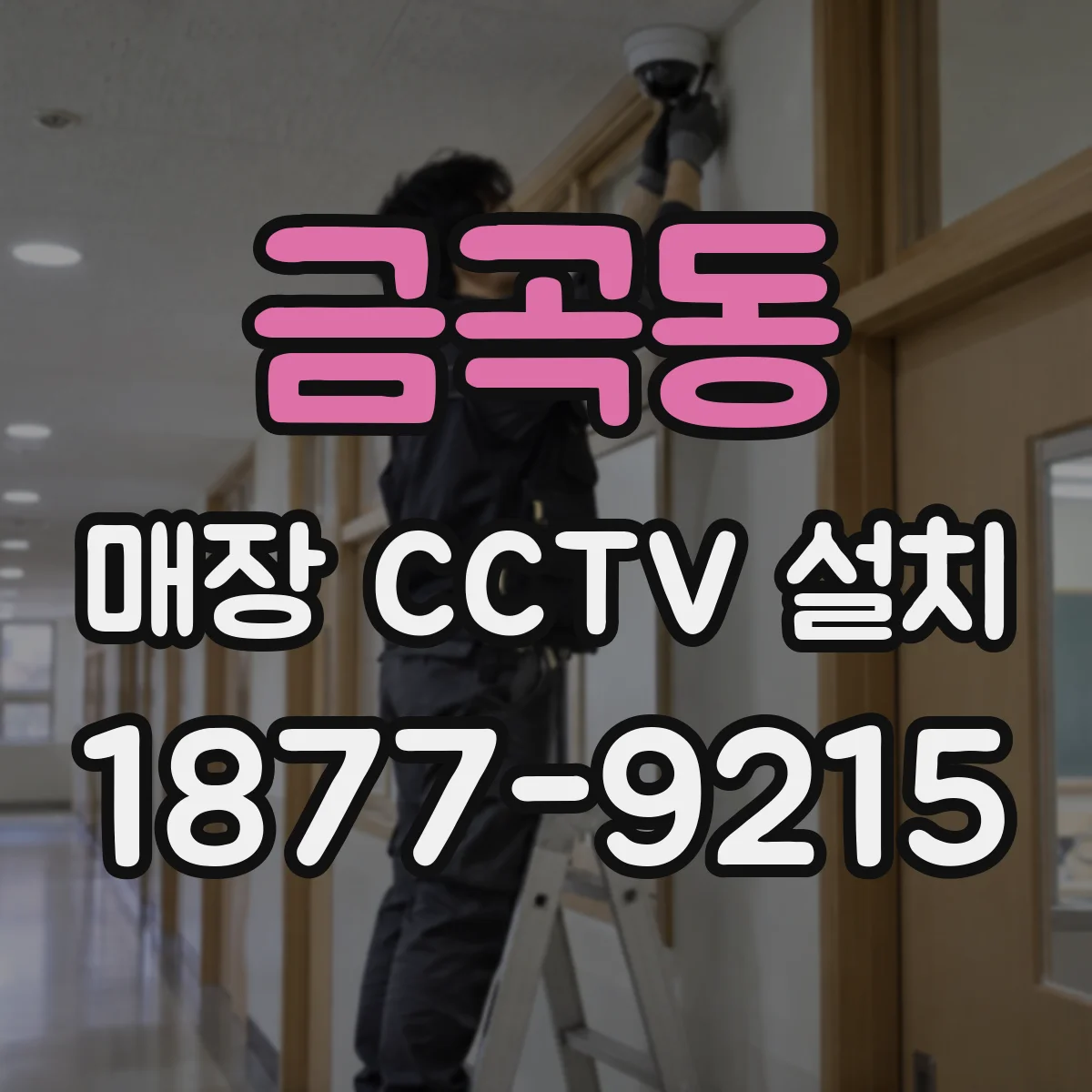 금곡동 매장 CCTV 설치