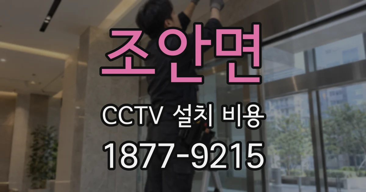 조안면 CCTV 설치 비용
