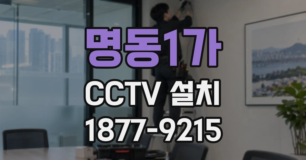 명동1가 CCTV 설치