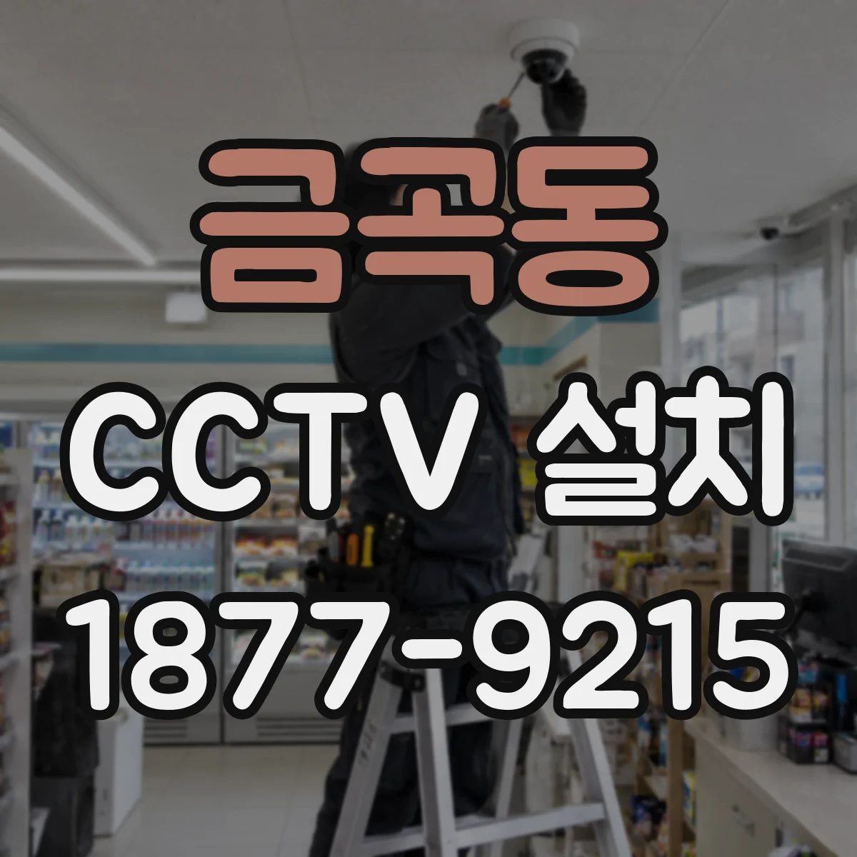 금곡동 CCTV 설치