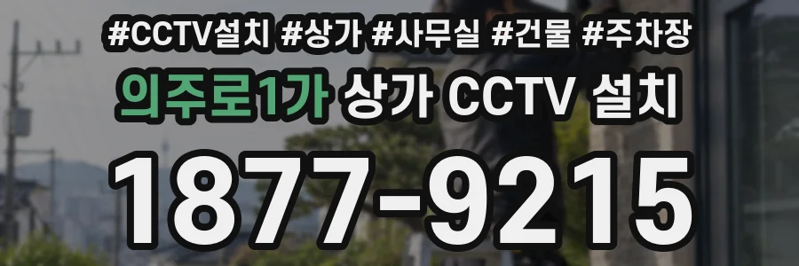 의주로1가 상가 CCTV 설치