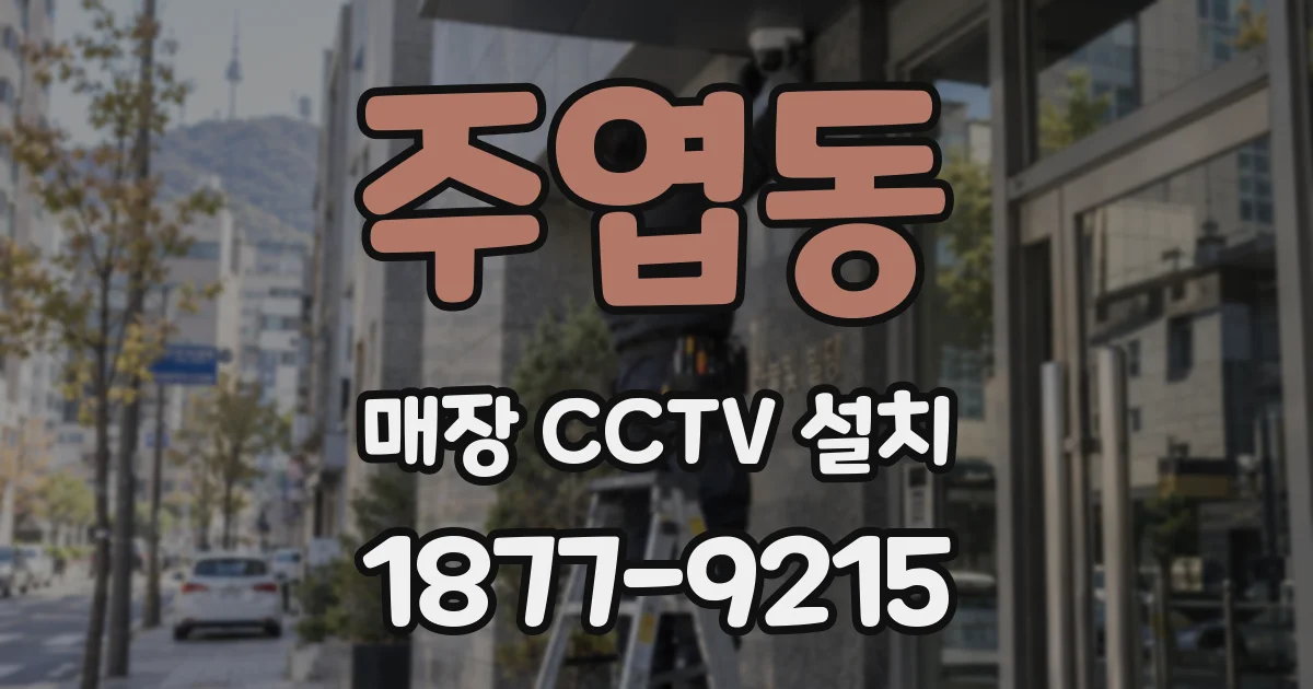 주엽동 매장 CCTV 설치