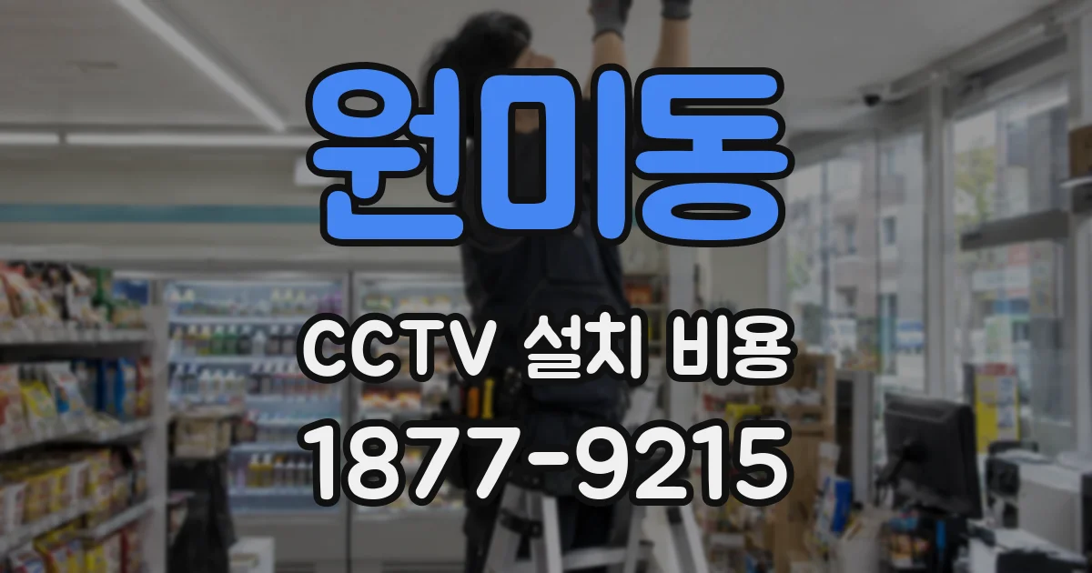 원미동 CCTV 설치 비용