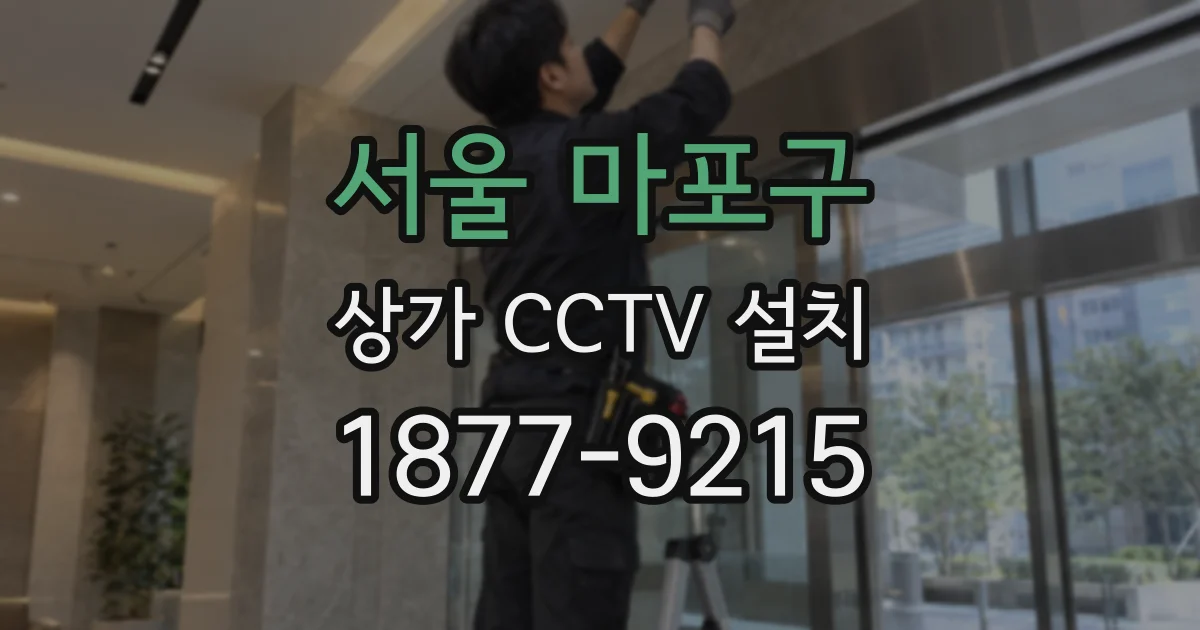 서울 마포구 상가 CCTV 설치