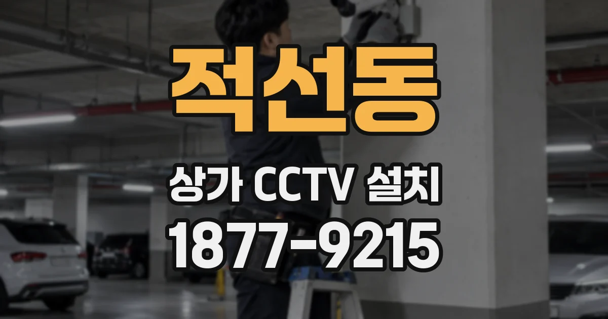 적선동 상가 CCTV 설치