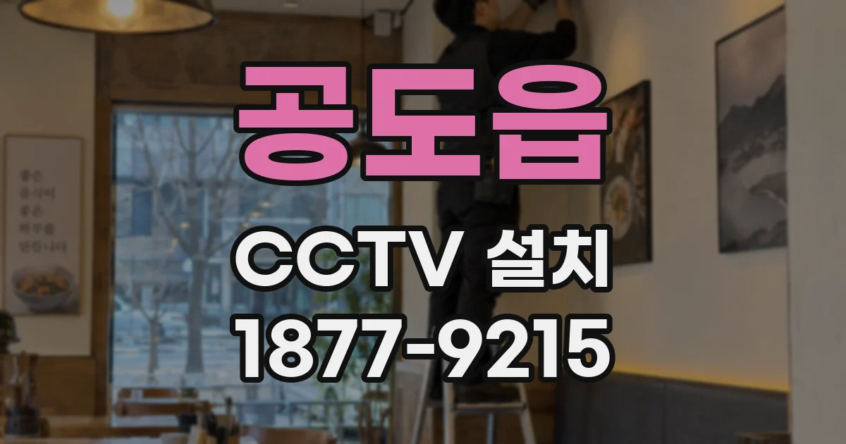 공도읍 CCTV 설치
