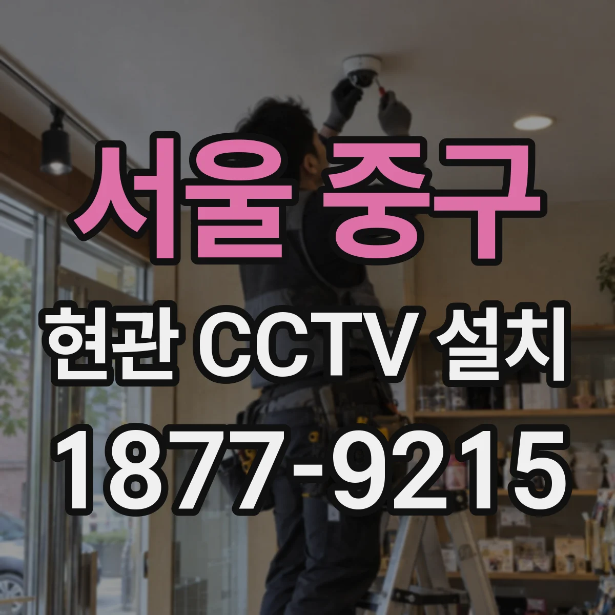 서울 중구 현관 CCTV 설치
