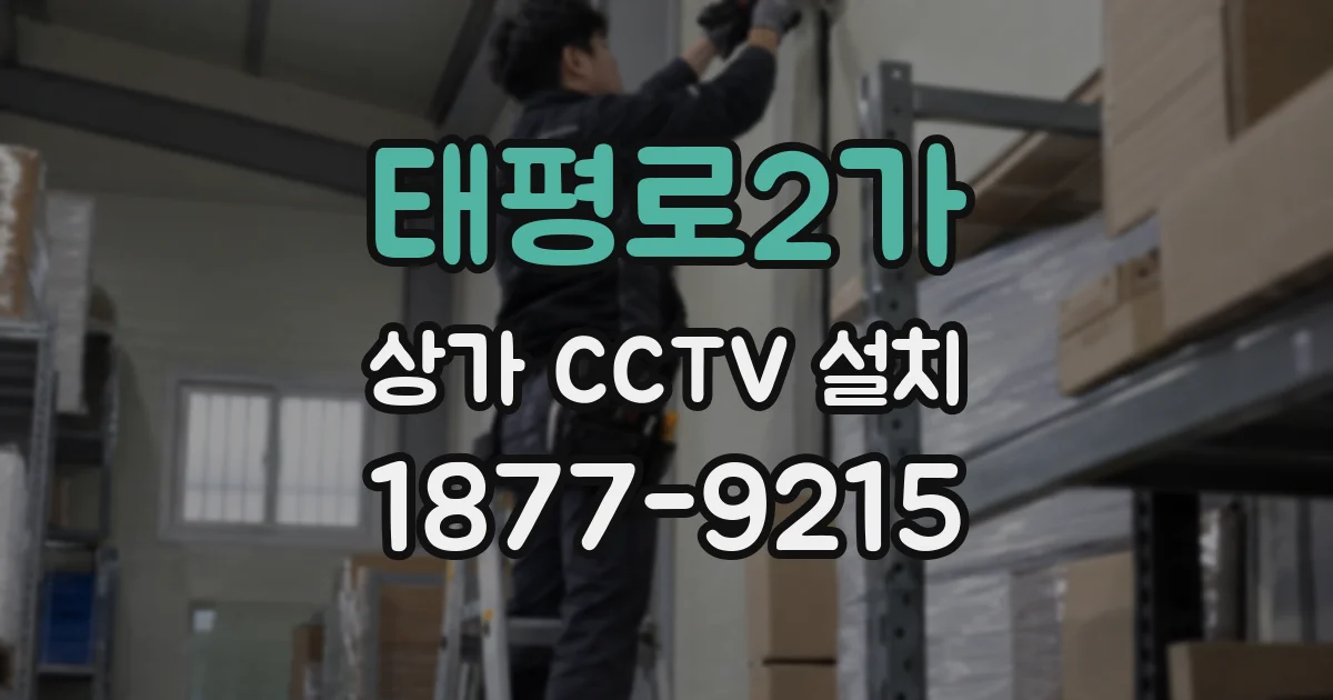 태평로2가 상가 CCTV 설치