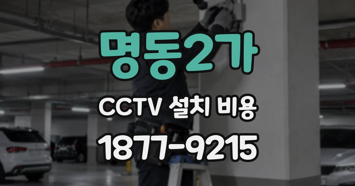명동2가 CCTV 설치 비용