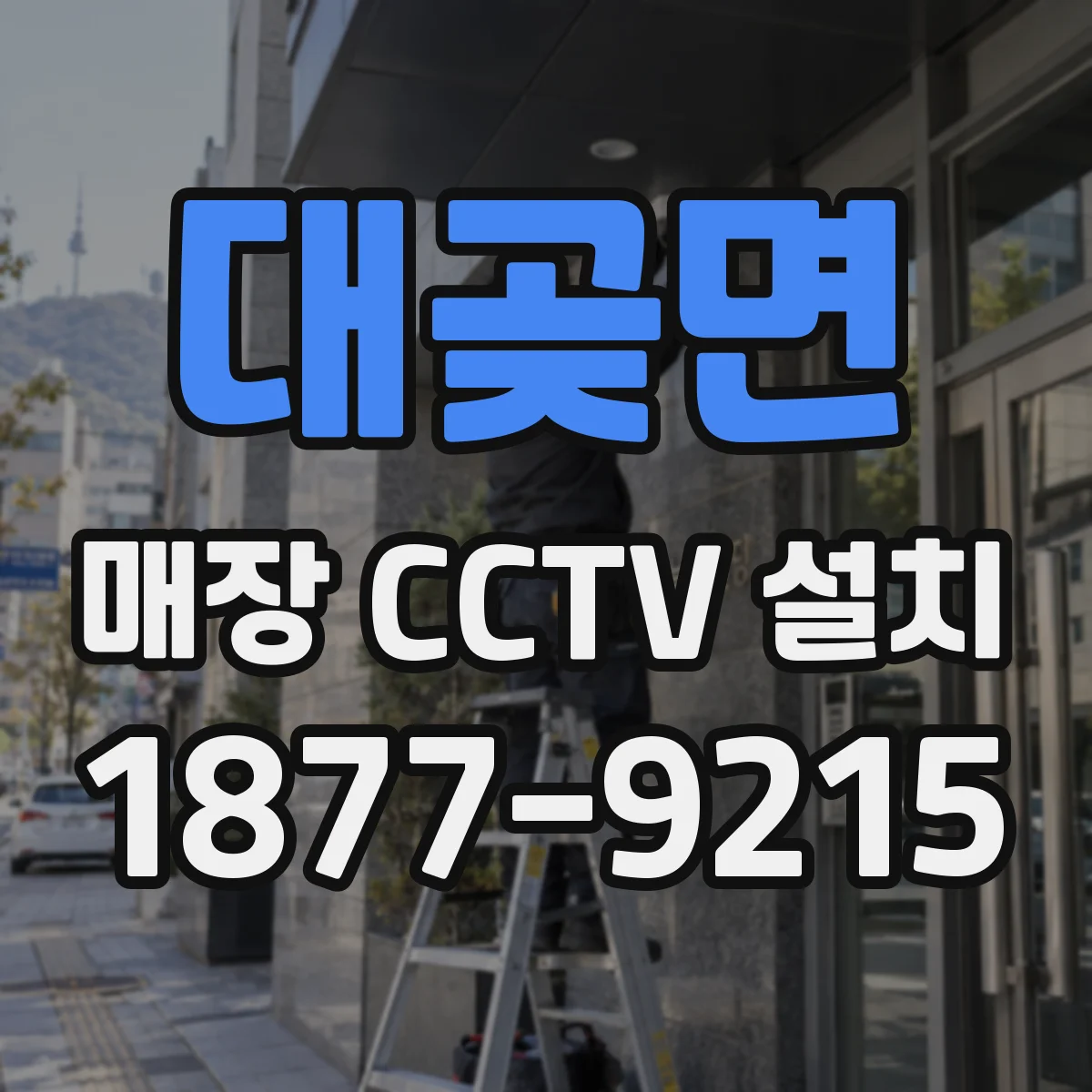 대곶면 매장 CCTV 설치