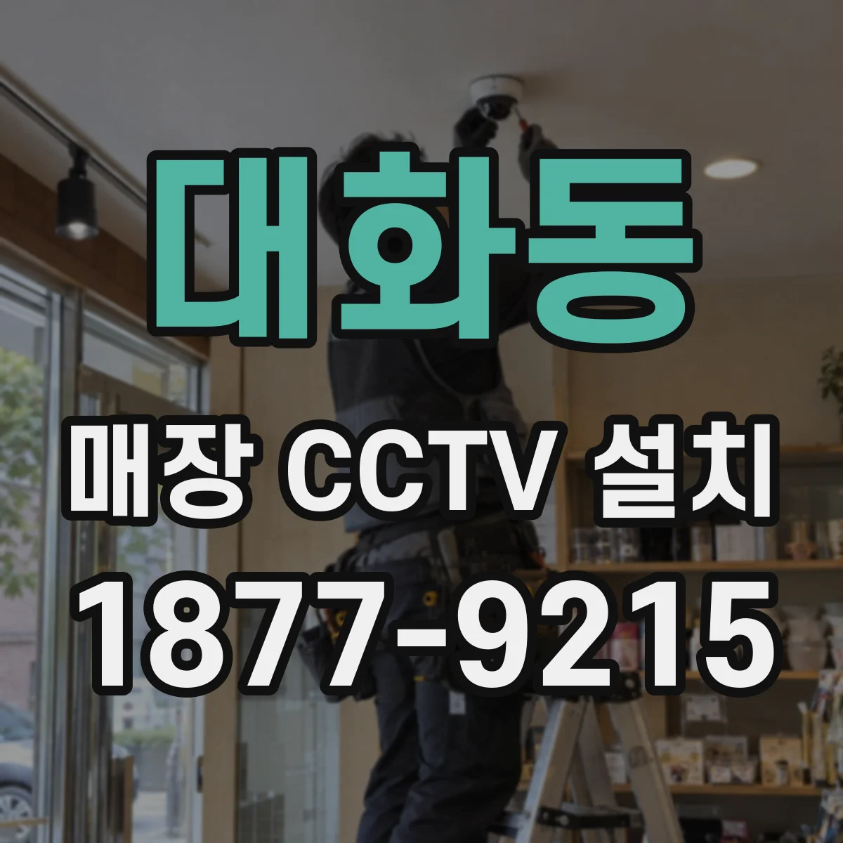 대화동 매장 CCTV 설치