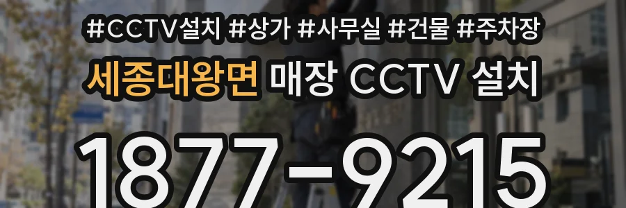 세종대왕면 매장 CCTV 설치