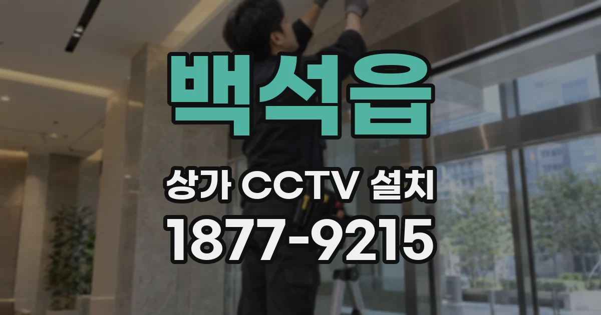 백석읍 상가 CCTV 설치