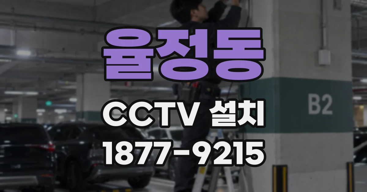 율정동 CCTV 설치
