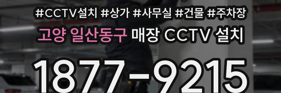 고양 일산동구 매장 CCTV 설치