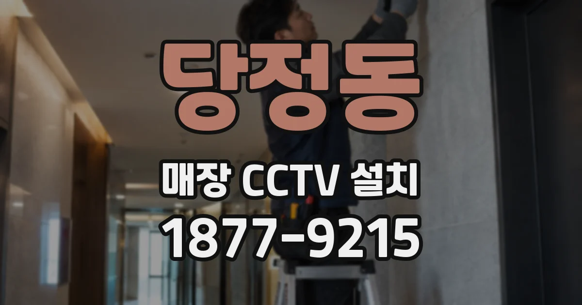당정동 매장 CCTV 설치