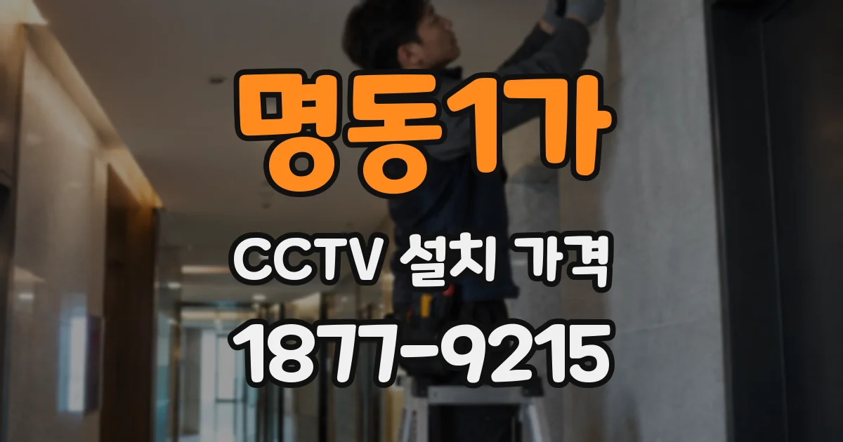 명동1가 CCTV 설치 가격