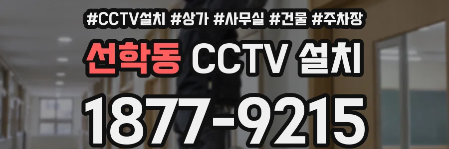 선학동 CCTV 설치