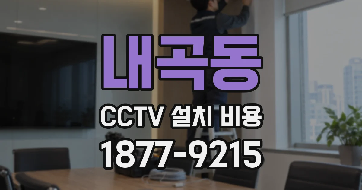 내곡동 CCTV 설치 비용