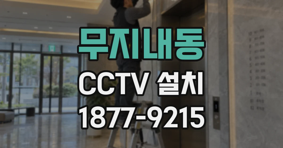 무지내동 CCTV 설치