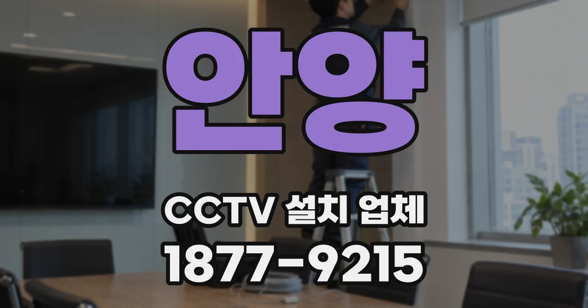 안양 CCTV 설치 업체