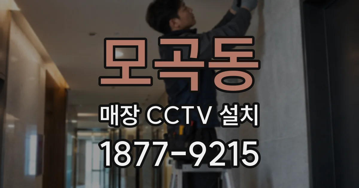 모곡동 매장 CCTV 설치