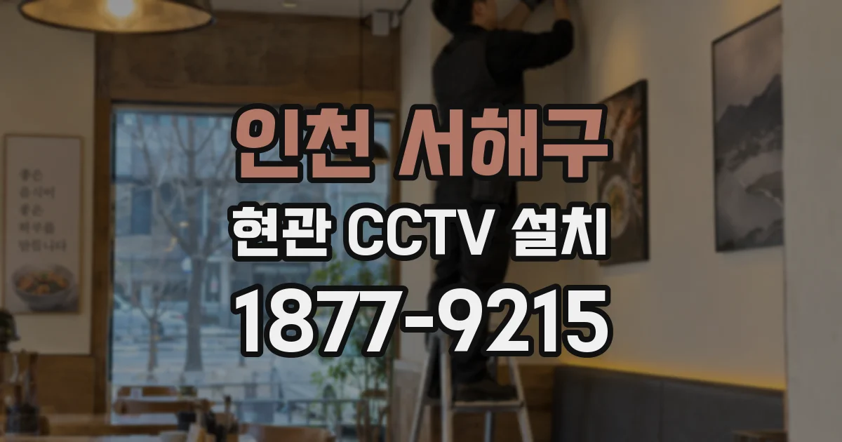 인천 서해구 현관 CCTV 설치