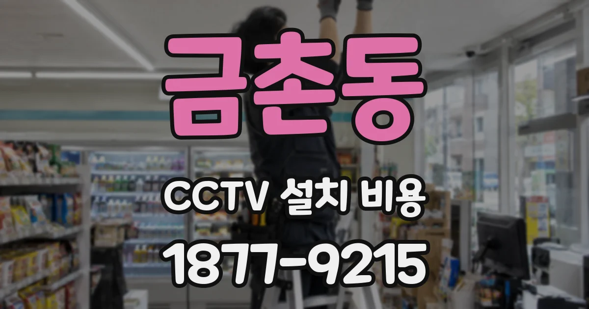 금촌동 CCTV 설치 비용