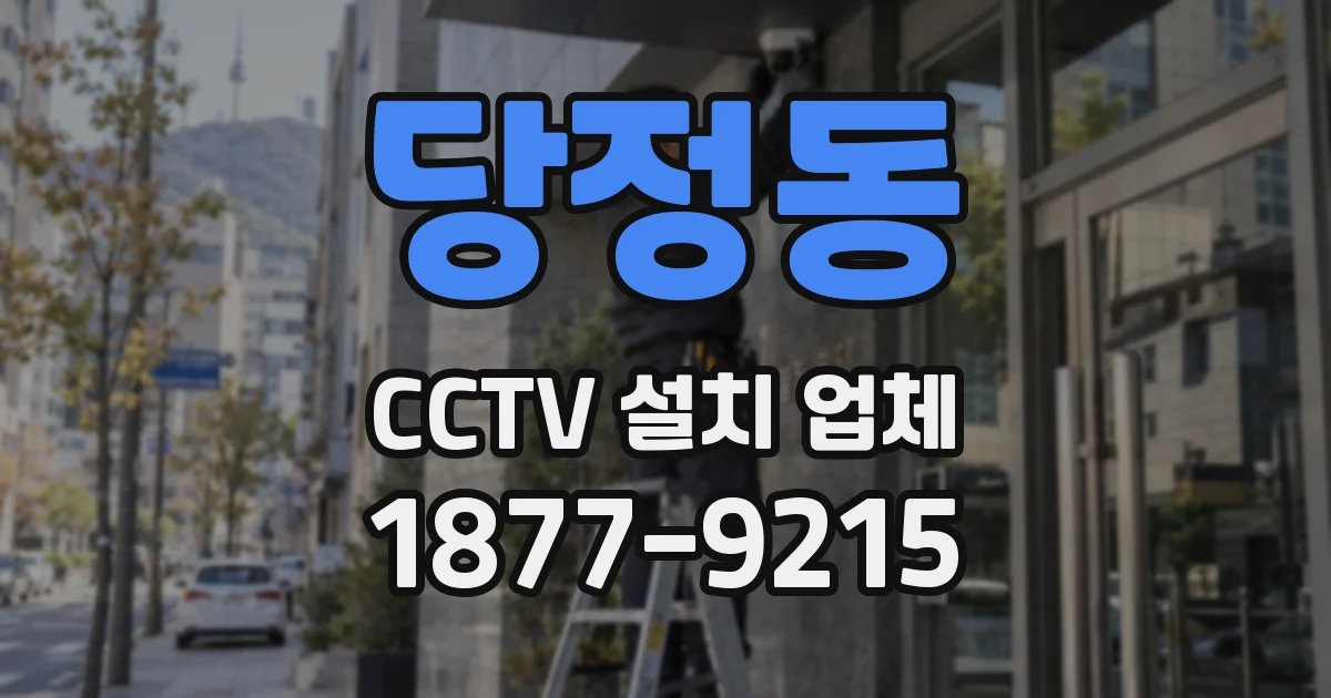 당정동 CCTV 설치 업체