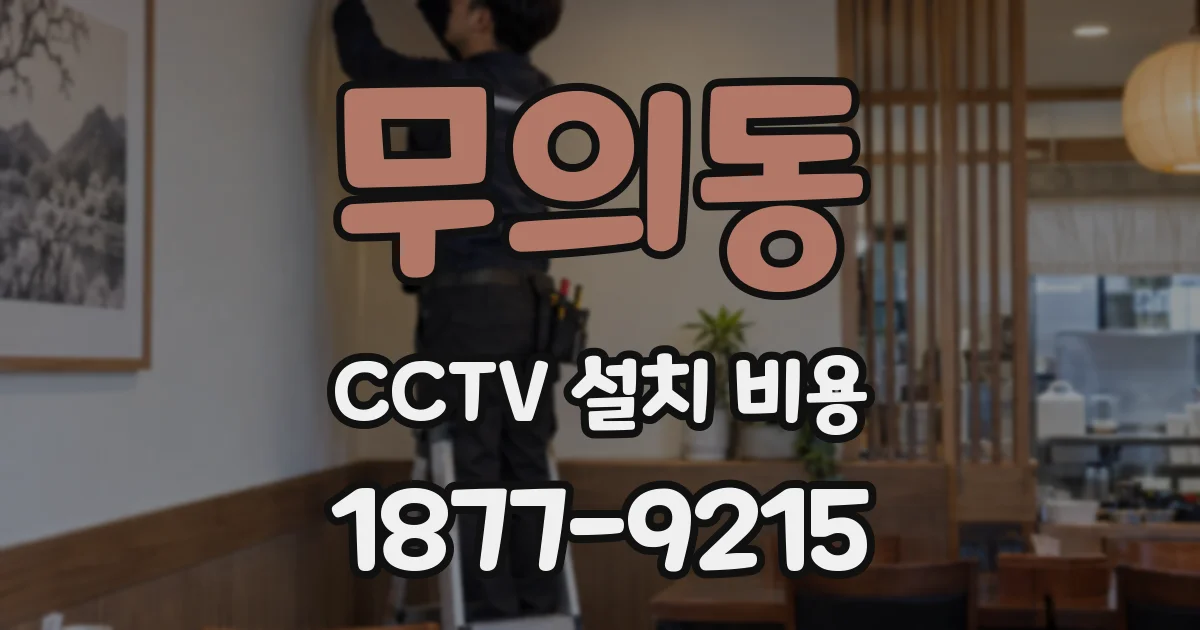무의동 CCTV 설치 비용