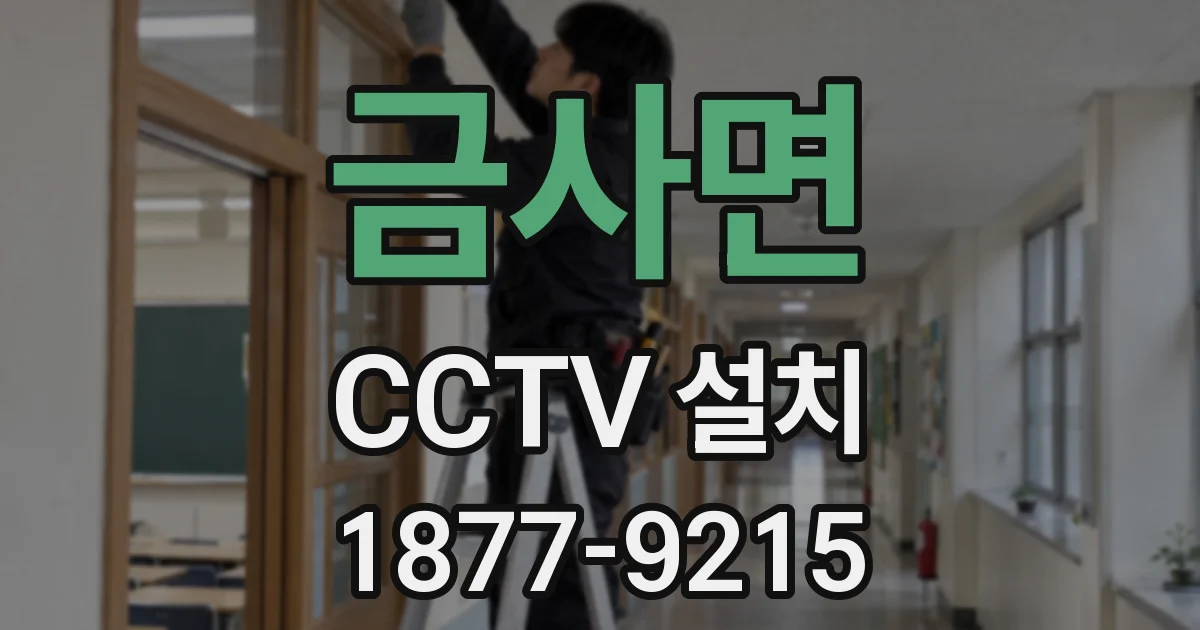 금사면 CCTV 설치
