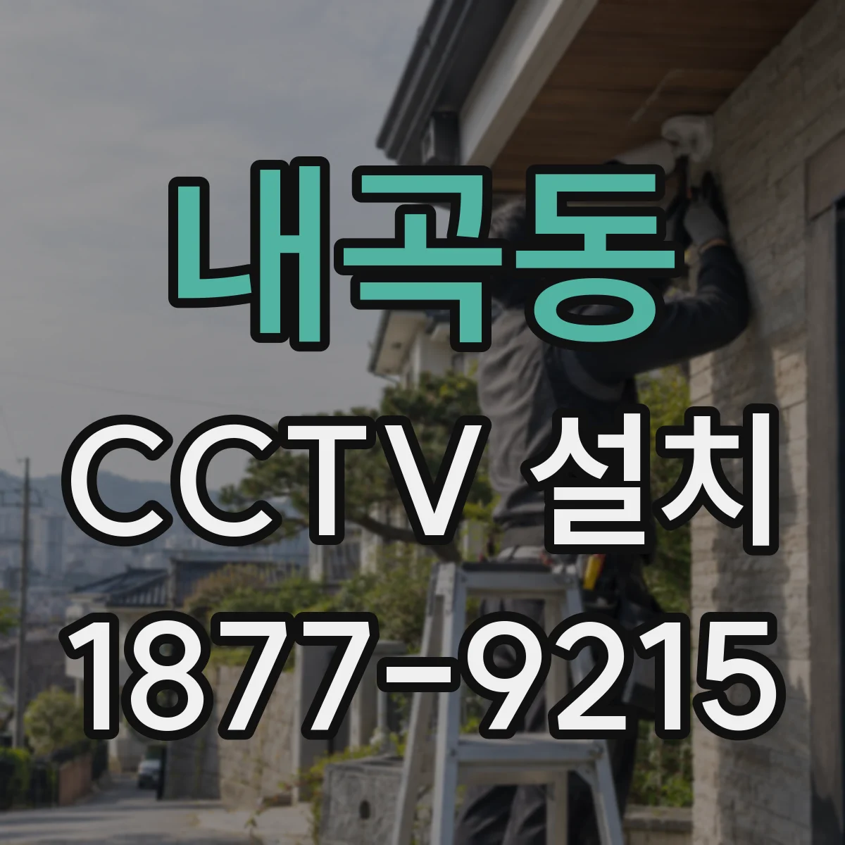 내곡동 CCTV 설치