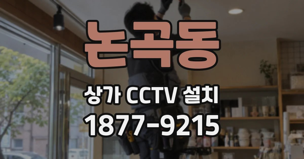 논곡동 상가 CCTV 설치