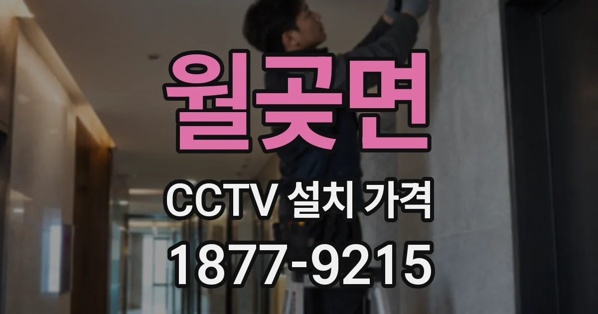 월곶면 CCTV 설치 가격