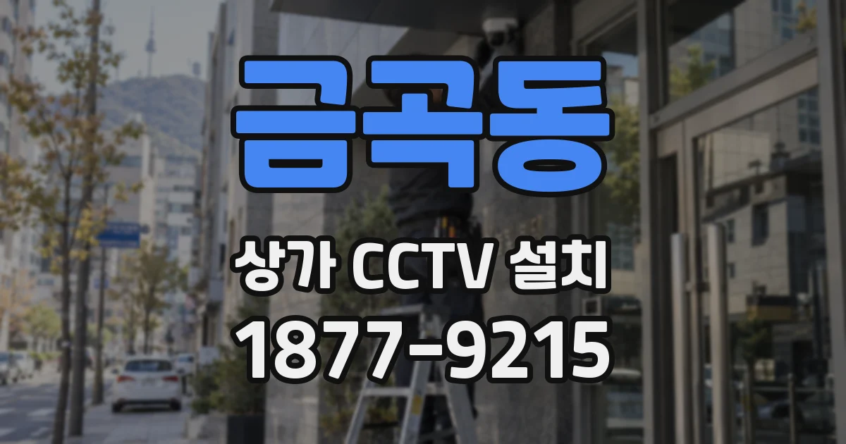 금곡동 상가 CCTV 설치