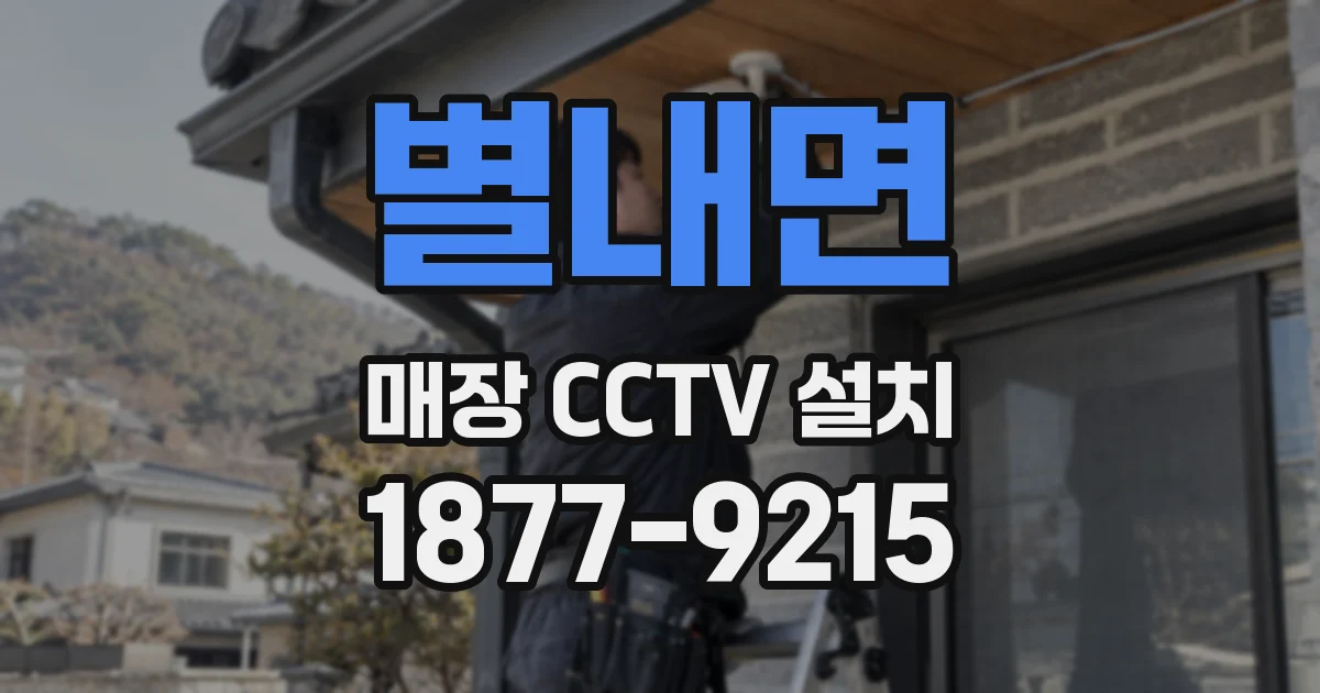 별내면 매장 CCTV 설치